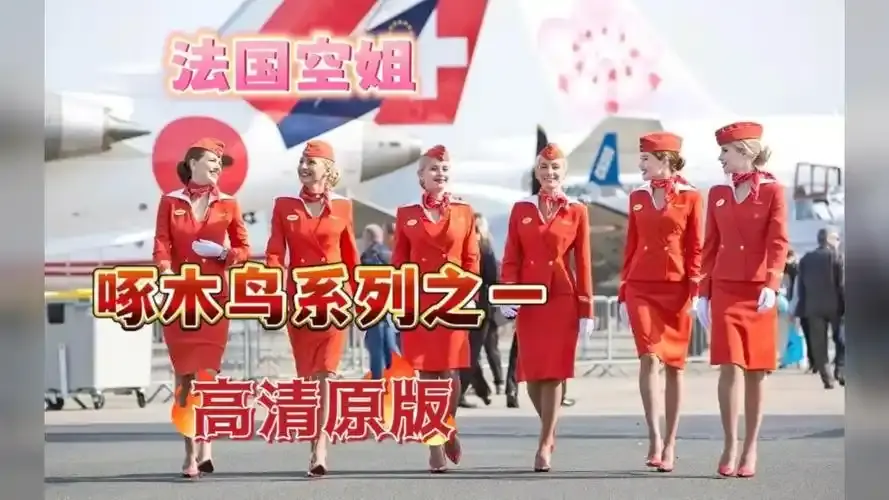 《法国空姐4》资源下载-法国空姐4免费在线观看高清完整版-法国空姐全系列无删减播放